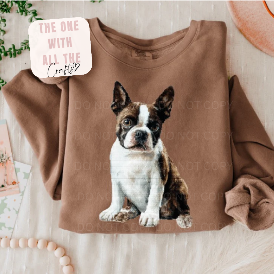 Brown sweatshirt with a dog graphic on a light wooden surface
