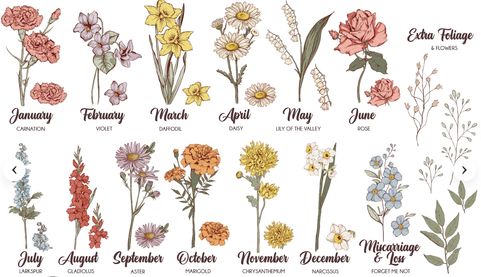 Illustrations of flowers for each month of the year with labels.