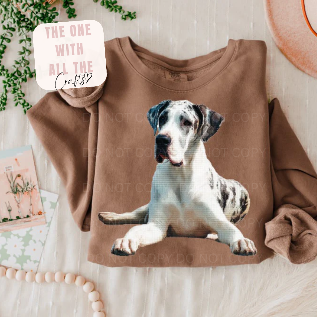 Brown sweatshirt with a dog graphic on a light wooden surface