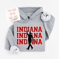 Gray hoodie with 'Indiana' text and silhouette design on a white background