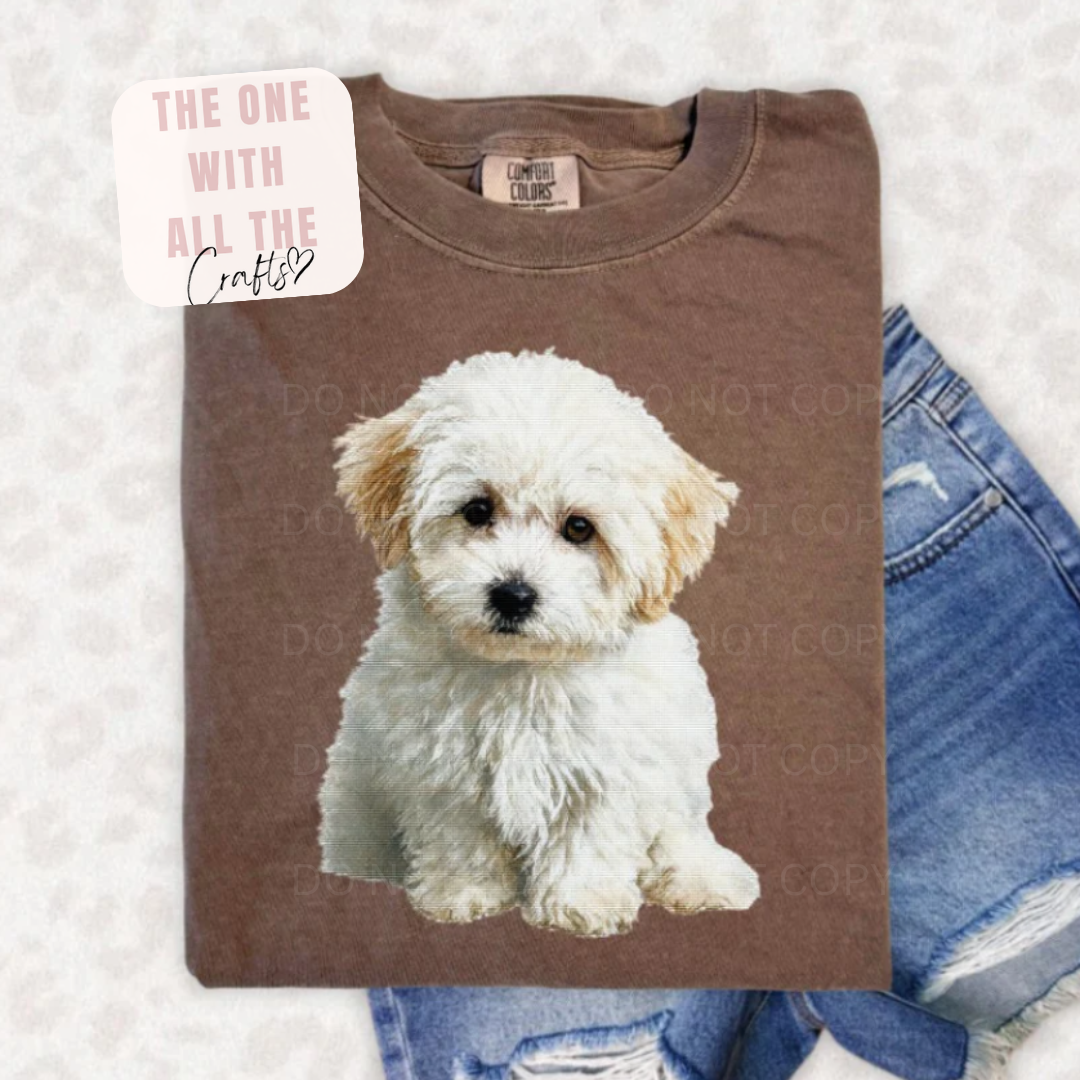 Brown t-shirt with a puppy graphic and text on a textured surface