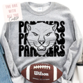 Gray sweatshirt with panther graphic and 'Panthers' text, next to a Wilson football.