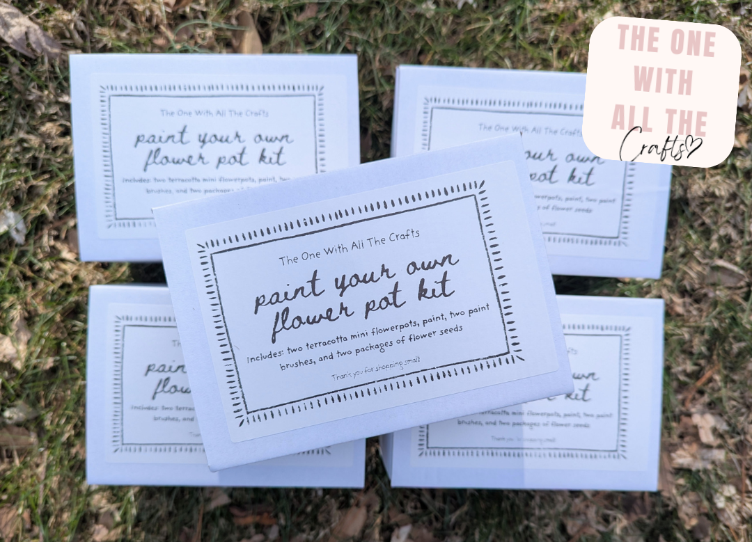 Packaging of 'Paint Your Own Flower Pot Kit' on grass