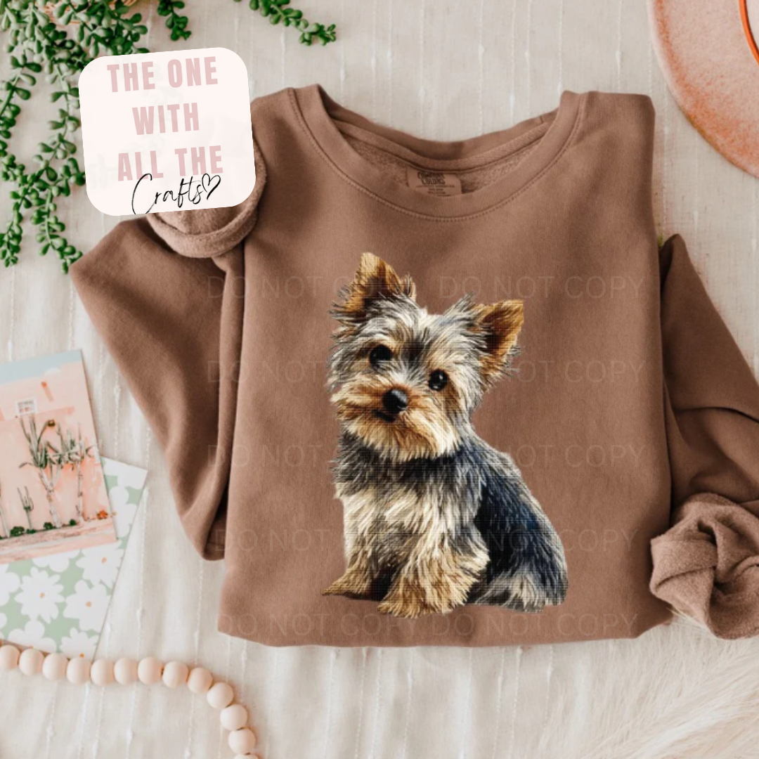 Brown sweatshirt with a dog graphic on a wooden surface