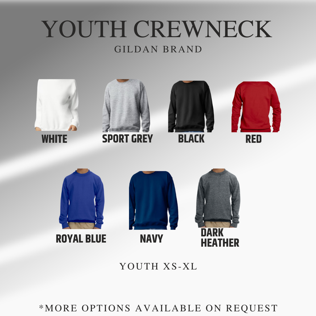 CUSTOM Youth School Spirit Applique Crewneck