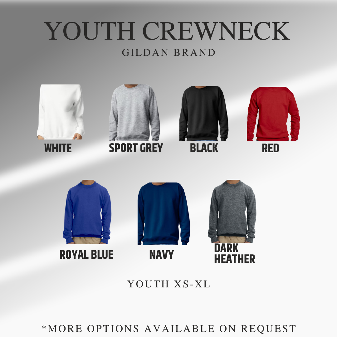 CUSTOM Youth School Spirit Applique Crewneck